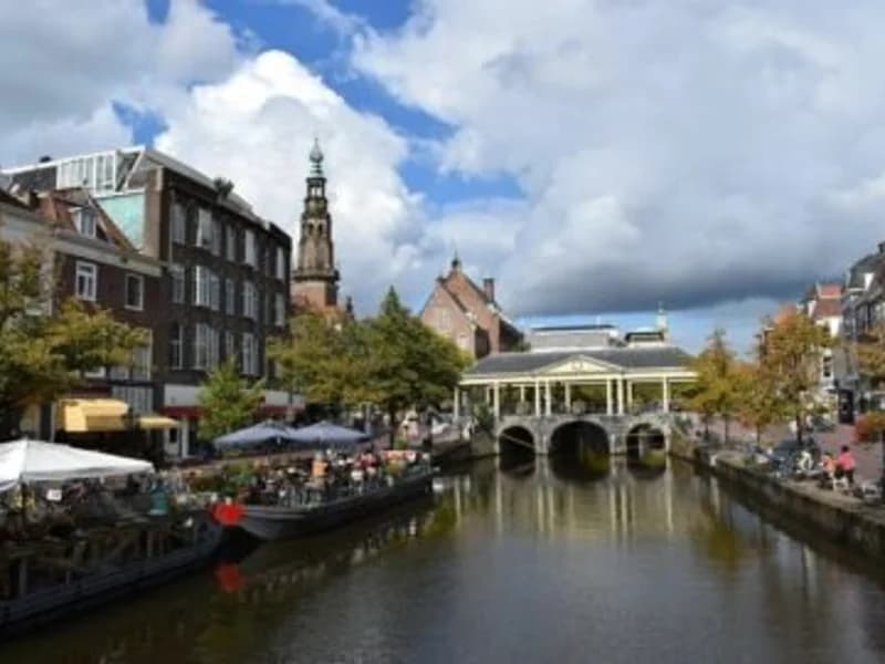 Vergelijk Dakdekkers in Leiden | VergelijkInDeBuurt.nl Vergelijk Dakdekkers Leiden