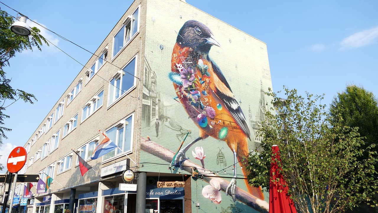 Dakdekker in Nijmegen