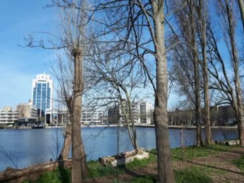 Vergelijk Dakdekkers in Zoetermeer | VergelijkInDeBuurt.nl Vergelijk Dakdekkers Zoetermeer